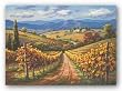 Vineyard Hill II by Sung Kim 5"x7" Art Print Poster