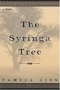 The Syringa Tree