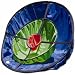 Sporting Goods : Chip Pocket Chipping Net