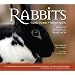 Rabbits: Gentle Hearts, Valiant Spirits: Inspirational Stories of Rescue, Triumph, and Joy