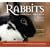 Rabbits: Gentle Hearts Valiant Spirits: Inspirational Stories of Rescue, Triumph, and Joy