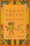Pagan Celtic Britain (Biography & Memoirs)