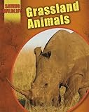 Grassland animals