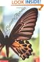 The Butterfly Alphabet