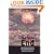 The City's End: Two Centuries of Fantasies, Fears, and Premonitions of New York's Destruction