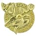 Moose Lodge Pin 1