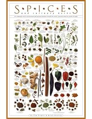 Spices and Culinary Herbs Ziegler & Keating Gourmet Kitchen Sage Parsley Cooking Print Poster 24x36