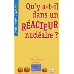 Qu'y a-t-il dans un r�acteur nucl�aire ?