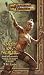Book Oath of Nerull (Dungeons & Dragons Novel)