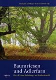Baumriesen und Adlerfarn: Der "Urwald Sababurg" im Reinhardswald - 