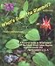 What's Doin' the Bloomin'? Revised Edition:A Pictorial Guide to Wildflowers of the Upper Great Lakes Regions, Eastern Canada and Northeastern U. S. A.