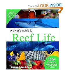 A Diver's Guide to Reef Life