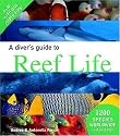 A Diver's Guide to Reef Life