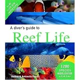 A Diver's Guide to Reef Life
