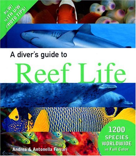 Scuba Diving