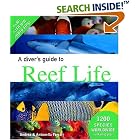 Click here to buy A Diver's Guide to Reef Life by  Andrea Ferrari and Antonella Ferrari.