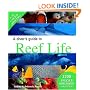 A Diver's Guide to Reef Life