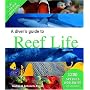 A Diver's Guide to Reef Life