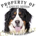 Bernese Mountain Dog "Property Of" Adult T Shirt