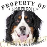 Bernese Mountain Dog Property Of Adult T Shirt