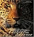 The Lords of the Savannah - Leopards & Cheetas (Art of Being...)
