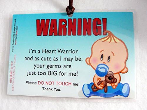 Heart Warrior CHD Car Seat Signs for Baby Boys with Congenital Heart Defects, 2 Pack