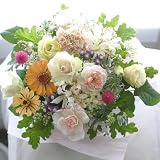 �t�����[�y �A�����W�����g�@�L�O���@�a�����@�t�����[�M�t�g�@�ԁ@�V�z�j���@�J�X�j���@�s���N�n ha �z