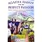 Agatha Raisin all nice and neatly in order
