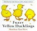  : Fuzzy Yellow Ducklings