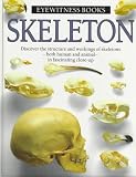 Skeleton