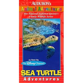 Audubon's Animal Adventures: Sea Turtle [VHS]