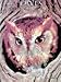 Owls