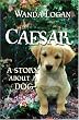 Caesar, a Story about a Dog