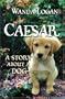 Caesar, A Story About a Dog