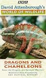Review 2 Entertain Video  / David Attenborough's World Of Wildlife 11 - Dragons And Chameleons