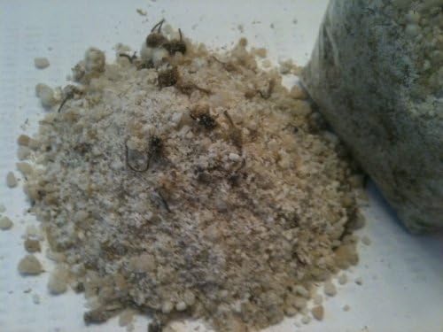 Dead Sea Organic Chamomile Aromatherapy Herbal Bath Salts