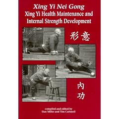 Xing Yi Nei Gong: Health Maintenance and Internal Strength Development