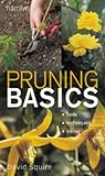 Pruning basics