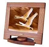 NCbNT XV1-15-SP1(Sapele Wood)