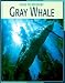 Gray Whale (Road to Recovery)