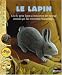 Le lapin
