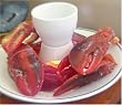Maine Lobster Claws 4lbs