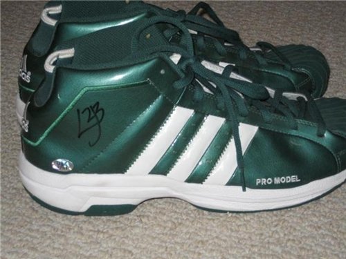 Lebron James Autographed/Hand Signed Nike Shoe