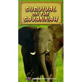 Untamed Africa [VHS]