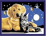 Ravensburger 27878 - Funkelnder Sternenhimmel - Malen nach Zahlen Brilliant, 13 x 18 cm