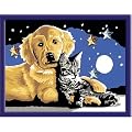 Ravensburger 27878 - Funkelnder Sternenhimmel - Malen nach Zahlen Brilliant, 13 x 18 cm