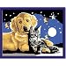 Ravensburger 27878 - Funkelnder Sternenhimmel - Malen nach Zahlen Brilliant, 13 x 18 cm
