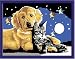 Ravensburger 27878 - Funkelnder Sternenhimmel - Malen nach Zahlen Brilliant, 13 x 18 cm