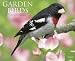 Garden Birds 2010 Calendar: Of North America
