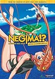 Negima!? Spring and Summer Specials